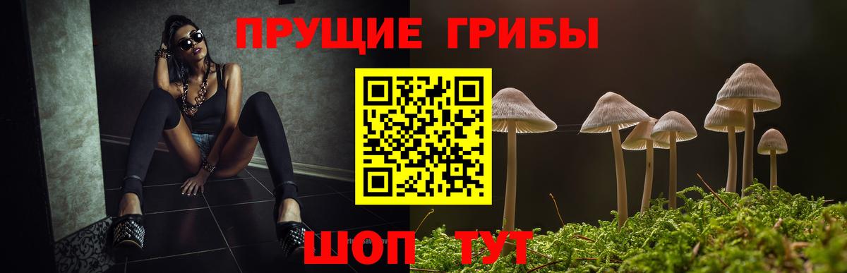 Псилоцибиновые грибы MAGIC MUSHROOMS Псков